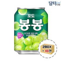 해태음료 포도봉봉 238ml (24캔) x 2박스, 단품