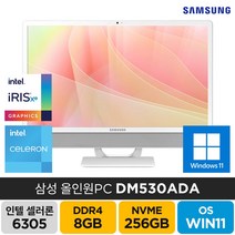 삼성 올인원 일체형 PC 24인치 DM530ADA 프로스트 화이트 가성비 컴퓨터, 셀러론-6305/8GB/NVMe   256GB/24인치, WIN11 Pro