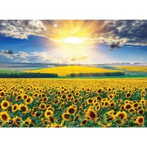 1000피스 직소퍼즐 해바라기들판과 일출 (BN10-001), 한국쇼핑 본상품선택, 한국쇼핑 1, 한국쇼핑 본상품선택