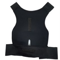 바른자세 굽은 어깨 허리 등펴기 라운드숄더 보호대 척추 목 등 거북목 고정기 밴드, L