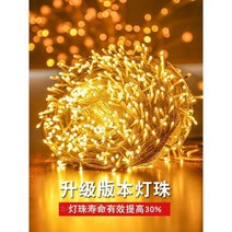 와이어전구 LED 앵두전구 캠핑 꼬마전구, 따뜻한 화이트 (가정용 배터리 모델) 2m 10등