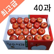 (현대Hmall) 長水청정마을 장수사과 10kg(40과)