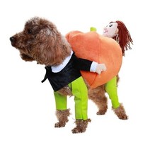 엘사 후와룽 인형탈 할로윈 의상 데이 옷 대여 유치원 재미 있은 고양이 귀여운 호박 개, 주황색, XL