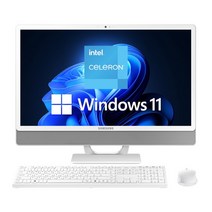 [삼성전자] 올인원 일체형PC DM530ADA-L15A [4GB 추가(총8GB)]