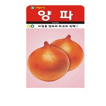 SN월드 뿌리채소 씨앗 무 당근 양파 알타리무 비트 콜라비 과일무