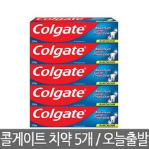 콜게이트 치약 250g 5개 그레이트 레귤러 무색소 불소 충치예방