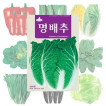 배추 고추 파프리카 씨앗 25종, 할라피뇨 30립