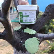 톱신페스트 겨울 수목 나무 상처 치료 영양제 도포제, 옵션E(500g)-브러쉬증정