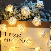 로맨틱 가랜드 전구(6M) (화이트) 40구 LED 장미, 상세페이지 참조