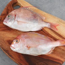 자갈치닷컴 냉동꽃돔 14-16cm전후 도미, 10마리