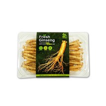 금산 고려인삼 생인삼 세척 수삼 인삼 세척삼 요리