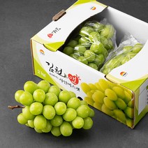 [도담] 고당도 샤인머스켓 씨없는 거봉 청포도 망고포도 2kg(4수)