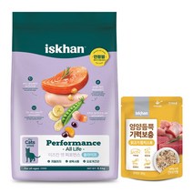 이즈칸 캣 퍼포먼스 올라이프 6.5kg + 영양듬뿍 기력보충 닭고기참치스튜 80g, 단품