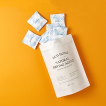 데시홈 천연 습기제거제 (고급형) 20g 30g 50g 100g - 데시팩 정품, 고급형, 100g x 6P