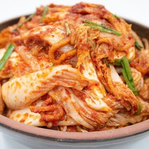 한백김치 국내산 겉절이 5kg, 단품