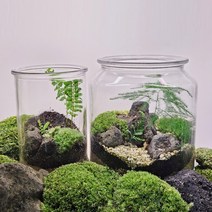 테라리움키트 이끼테라리움 DIY 만들기 피규어증정, 테라링움B