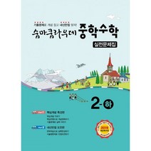 숨마쿰라우데 중학 수학 실전문제집 2-하 (2019년) : 2019 새교육과정, 이룸E&B(이룸이앤비)