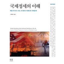 국제정세의 이해:복합 위기의 시대 지구촌의 어젠다와 국제관계, 한울아카데미, 9788946080058, 유현석 저