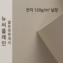 뉴씨플레인 종이문화 얇은 양면색지 120g 전지 낱장 1매 No.55 밍크색, 1장