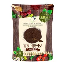 푸른들판 국내산 달맞이꽃 씨앗, 100g, 1개