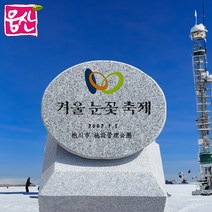 반구형 기념식수 비석 CP01K 석재상 직영 웅산 석재상, A화강석, 1개