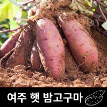 여주고구마 관련 상품 TOP 추천 순위