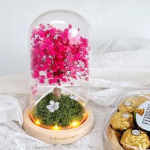 LED 핑크안개 무드등 거실 인테리어 조명 소품 취침등 수유등, 단품