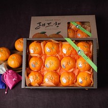 (롯데백화점)제주 서귀포 레드향 선물세트 4.7kg (실중량/30과내외)