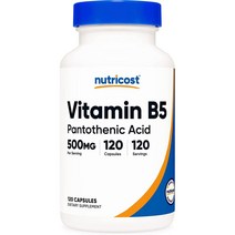 뉴트리코스트 판토텐산 비타민 B5 500mg 120캡슐, 120캡슐 (1병)