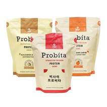 비사이 프로비타 콜라겐 프로틴60정 3종 Visi Probita, chocolate, 60정, 1개