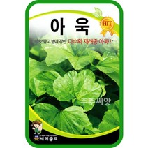 아욱 20g / 쌈채소씨앗 아욱씨 아욱 씨앗
