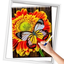 SHEXIU 3D 보석십자수 액자 캔버스형 DIY 세트 라운드 비즈40 X 50cm, SX070  아름다운 꽃나비x1세트