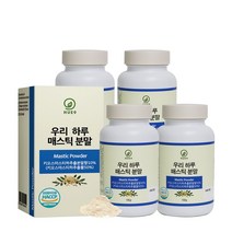 휴나인 위건강 그리스산 WE하루 매스틱 분말 가루 190g, 4개