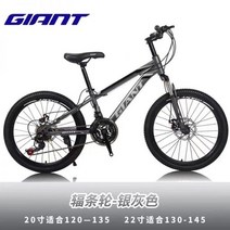 자이언트자전거 도로자전거 MTB 자이언트 경량 산악자전거 로드자전거 여성로드 해변 로드바이크 와이드, 30속_XTC-800실버그레이버펄로누벅 | 20인치