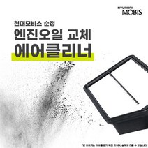 그랜저 TG HG IG 순정 에어클리너 필터 (28113-), TG 3.3cc 가솔린