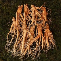수삼 난발삼 중편 (10~13뿌리내외 500g), 바구니/보자기