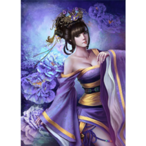 CWYJIN 보석십자수 캔버스 인물 DIY 키트 미인 공주 정령 천사 선녀 같다 식당 침실 데코레이션 그리다 30X40 CM, 1개, 보라색여인