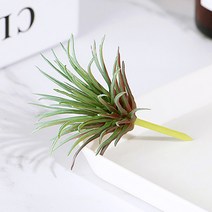 (주)아트인 인조 다육 식물(M01), 레드