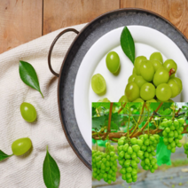 국내산 보성 샤인머스켓 보성 참다래 골드키위, 보성 샤인머스켓 2kg(2~4수)