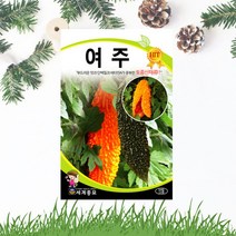 여주씨앗 10립 여주 씨앗 종자