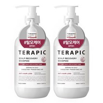 테라픽 스칼프 샴푸 블랙체리, 2개, 1000ml