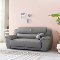 다일 돌리 인조가죽 2인용 3인용 쇼파, 그레이
