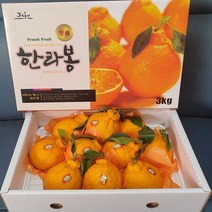 산지직송 프리미엄 명품 한라봉 제주 서귀포 선물세트 (11~15과내외), 상세페이지 참조, 상세페이지 참조