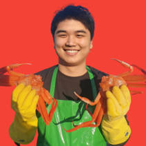 [당일조업][구룡포직송]수율보장 명품 박달 연지 홍게 3KG 6KG 포항 구룡포 영덕 울진, [프리미엄] 박달형 홍게 3kg (9-11미), 1개