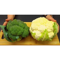 제주 한림 컬리플라워 브로콜리 콜리플라워 3kg, 콜리플라워3kg