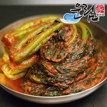 [운림가] 53년전통 국내산 수제 전라도 갓김치, 갓김치 10kg