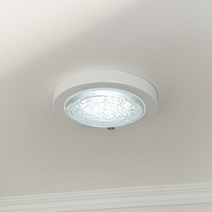 LED 현관 직부 센서등 베란다등 보급형 15W (주광색 6500K), 직부등 15w