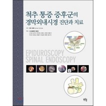 척추 통증 증후군의 경막외내시경 진단과 치료, 푸른솔, 귄터 쉿쩨 저/고도일병원 의료진 공역