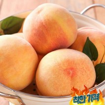 [초록자연] 천중도 백도 8-10과 왕왕, 없음, 단일