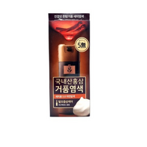 려 진결모 한방 거품 새치염색(5.0자연갈색) 국내산 홍삼 새치 염색 탈모 케어, 1개